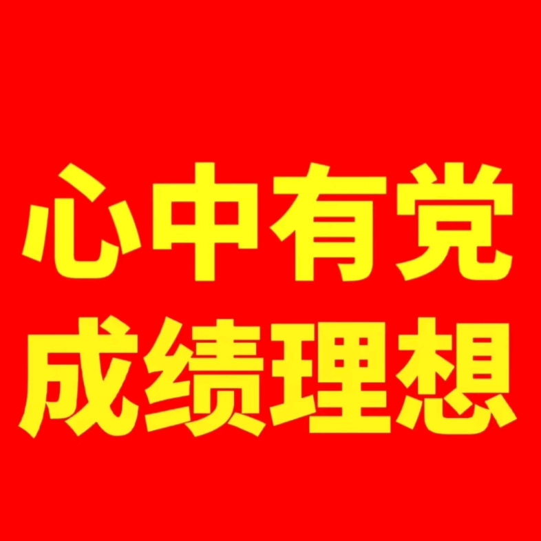 斯洛文尼亚代表团实现理想成绩的简单介绍